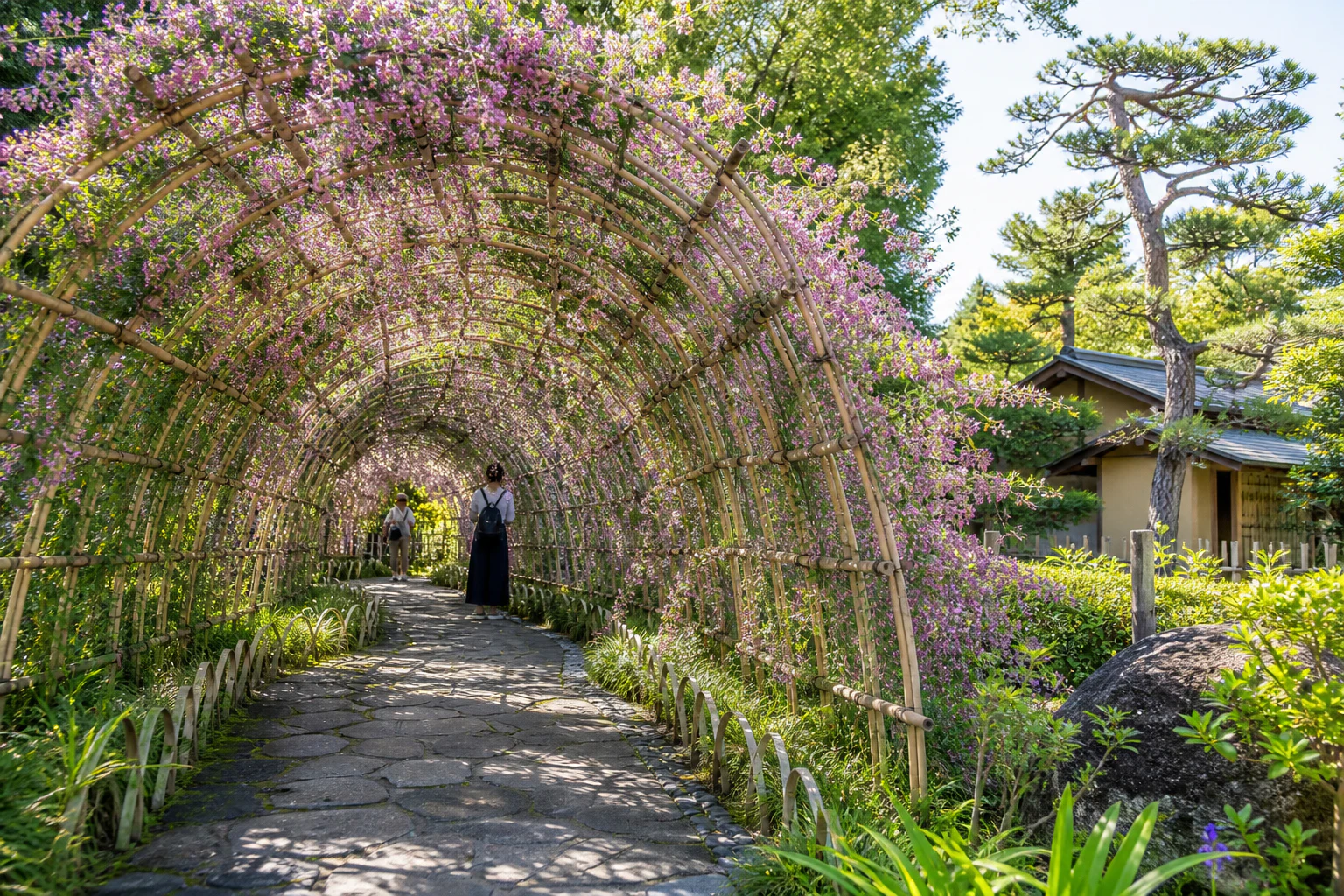 向岛百花园萩祭·花之隧道